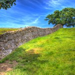 Dry stone wall near Askrigg, Yorkshire Dales.