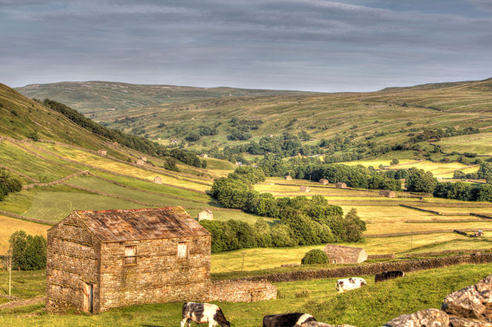 Merchant-and-Makers-Dry-Stone-Walls-3-Swaledale-barns