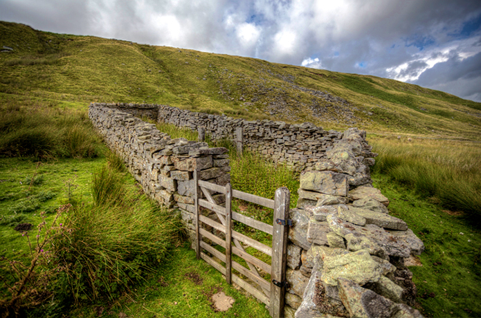 Merchant-and-Makers-Dry-Stone-Walls-33-Sheep-pen,-nr-Buttertubs-Pass,-Yorkshire-Dales