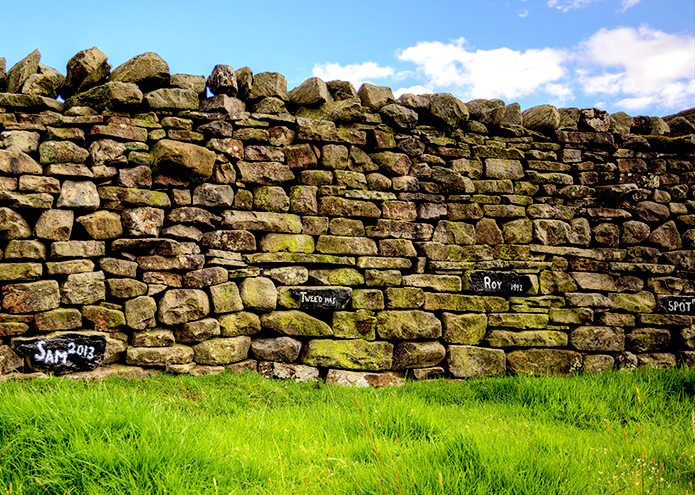 Merchant-and-Makers-Dry-Stone-Walls-40-Sheepdog-memorial,-Yorkshire-Dales