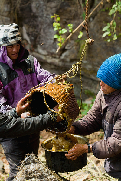 Merchant-and-Makers-Honey-Gathering-12-Nepal