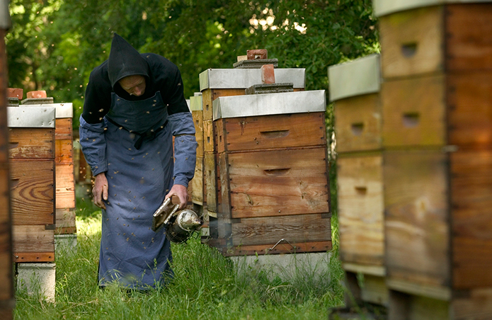 Merchant-and-Makers-Honey-Gathering-21-Monk-Triors-Abbey-Beekeeping