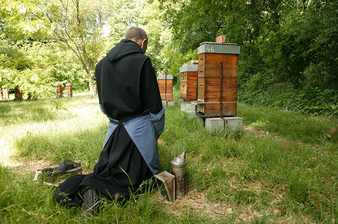 Merchant-and-Makers-Honey-Gathering-22-Monk-Triors-Abbey-Beekeeping