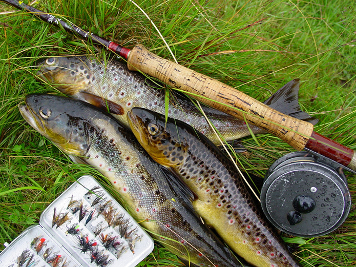 Merchant-and-Makers-Rob-York-Wild-Welsh-Trout-Fishing-13