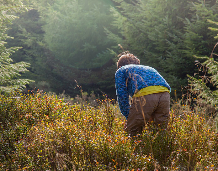 Merchant-and-Makers-Foraging-for-Wild-Food-11-Crab-Bilberry-Picking