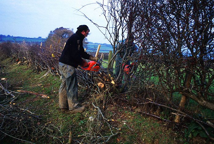 Merchant-and-Makers-Ancient-Craft-of-Hedgelaying-H