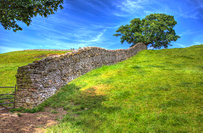 Dry stone wall near Askrigg, Yorkshire Dales.