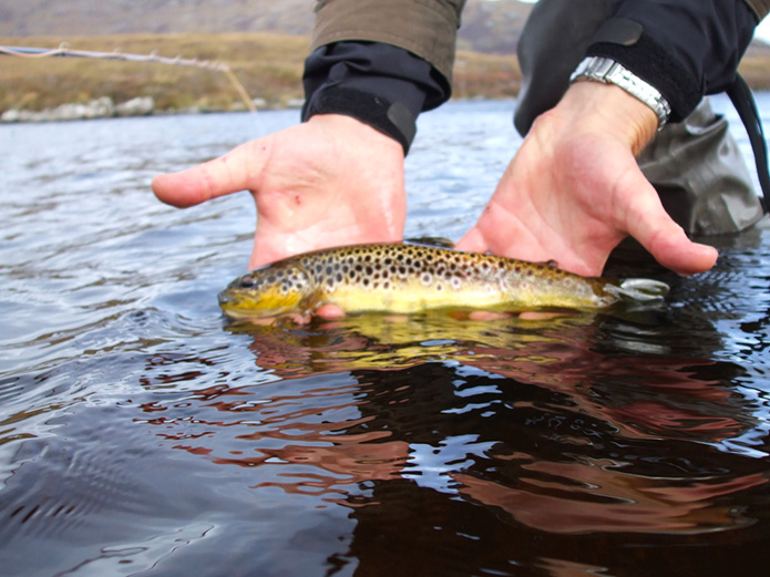 Merchant-and-Makers-Rob-York-Wild-Welsh-Trout-Fishing-7