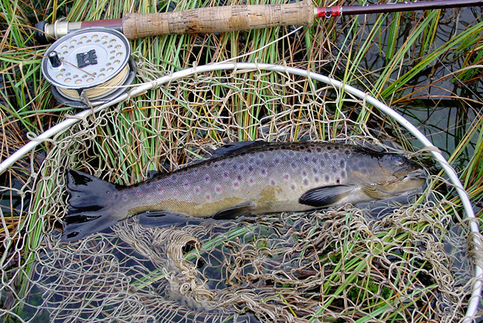 Merchant-and-Makers-Rob-York-Wild-Welsh-Trout-Fishing-8