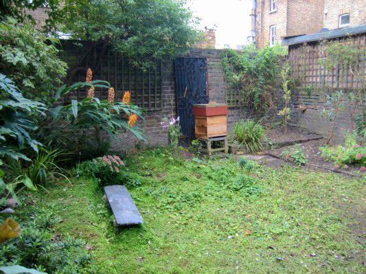 Merchant-and-Makers-Urban-Beekeeping-11-Garden-with-Hive