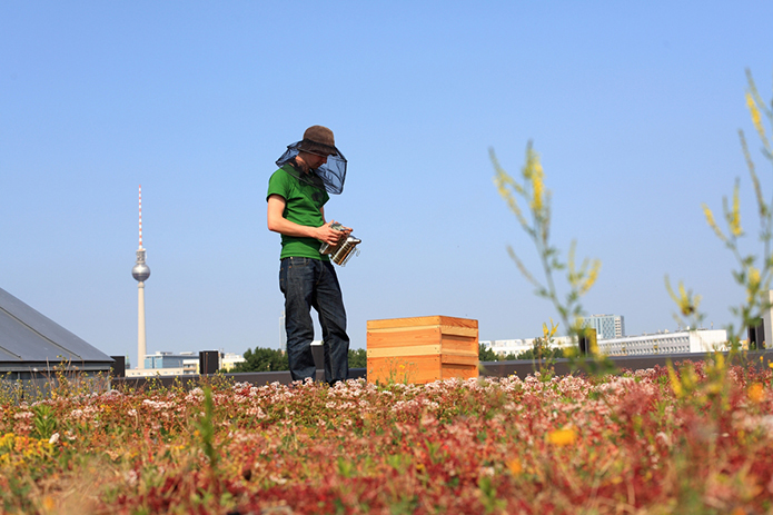 Merchant-and-Makers-Urban-Beekeeping-15-Berlin-Germany