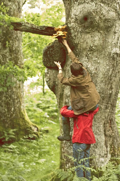 Merchant-and-Makers-Fungi-Foraging-2-Climbing-Tree-for-Mushrooms