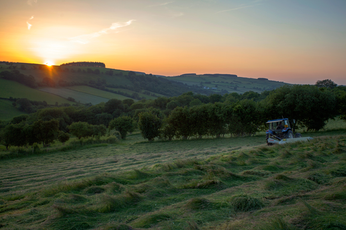 Merchant-and-Makers-Self-Sufficiency-7-Daniel-Butler-Mowing-Hay-At-Sunset