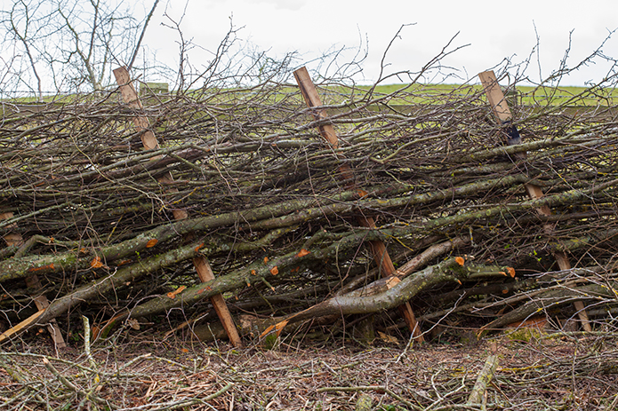 Merchant-and-Makers-Ancient-Craft-of-Hedgelaying-G
