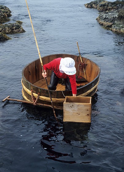 Merchant-and-Makers-Japanese-Boatbuilding-Douglas-Brooks-16-spearing-shellfish-from-a-taraibune-or-tub-boat-on-Sado-Island
