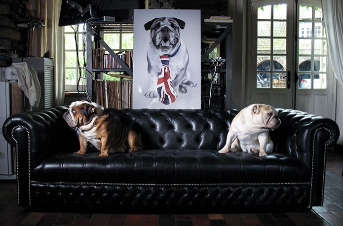 Merchant-and-Makers-Interview-with-Chesterfield-Sofas-by-Saxon-18-British-Bulldog-Stanhope-Sofa